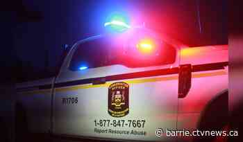 Four men face $16,000 in fines for illegal big game hunting in Gravenhurst