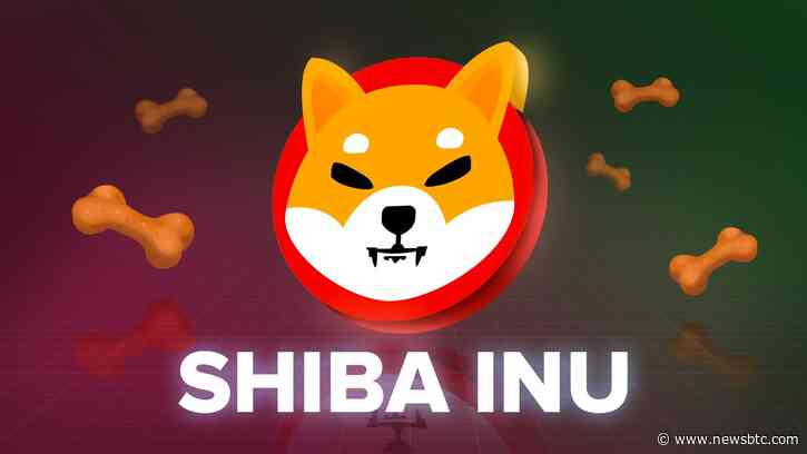 These Countries Are Picking Shiba Inu Over Dogecoin And Cardano