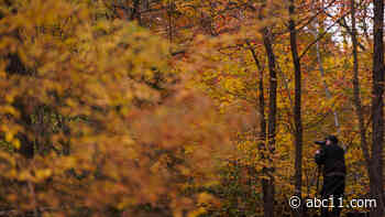 Fall's almost here! Thanksgiving, end of daylight saving time, more dates to bookmark for 2023