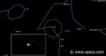 Distant Neptune and Uranus make for excellent night sky sights this week. Here's how to see them