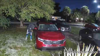 Teens arrested after violent crime spree across Miami-Dade, including carjackings and assault