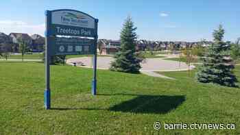Attempted abduction of two girls in New Tecumseth under investigation