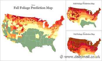 Get ready for leaf peeping season! New maps show where to view the best foliage this Fall