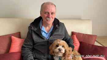 Melbourne's playground, Phillip Island, slugged with Airbnb tax