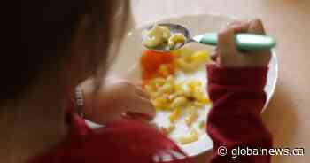 Calgary E. coli outbreak shines a light on daycare food safety, experts say