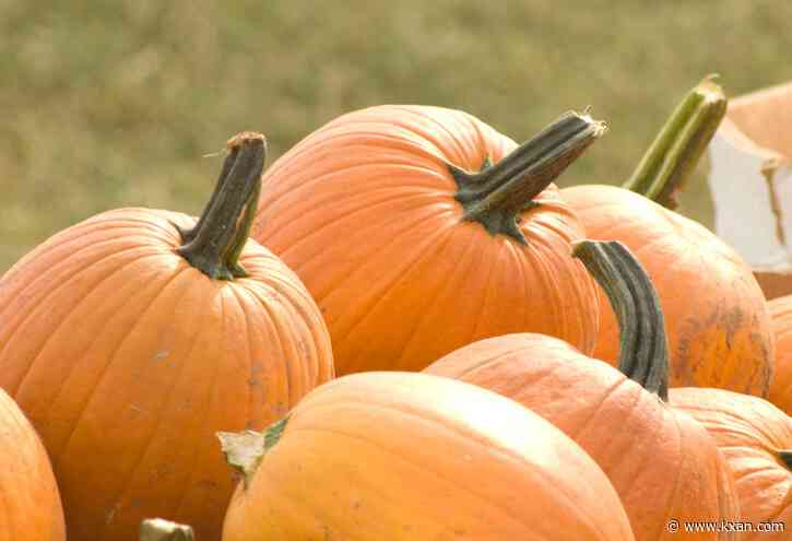 Pumpkin Nights returns to Austin