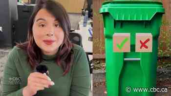 The dos and dont's of Regina's new green bin program