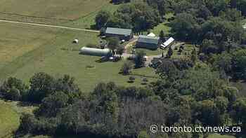 Developer denies Greenbelt proposal was sparked by tip as integrity commissioner explores Ford connection