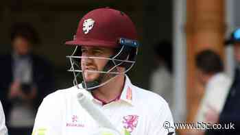 Steven Davies: Somerset and former England wicketkeeper to retire