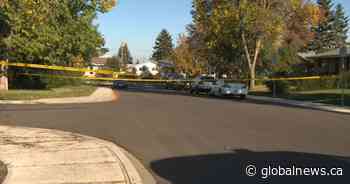 Man dies after being hit by dump truck in south Edmonton’s Pleasantview neighbourhood