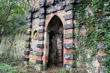 Future uncertain for secret Bristol wood bought by mystery buyer