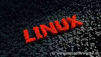 Für Desktop und Terminal: Die besten Linux-Tools für alltägliche Probleme