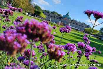 Bad Oeynhausen: Neuer Betriebsleiter Staatsbad gewöhnt sich ein