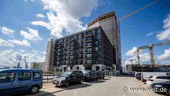 Alle loben Holz – aber keiner baut damit