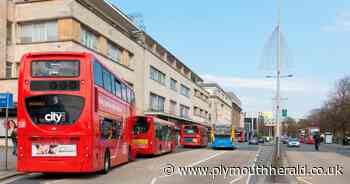 New Plymouth bus routes and lanes to transform transport
