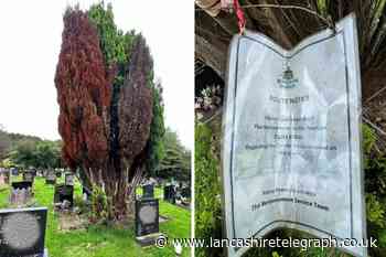 Grandson speaks out on ‘huge tree’ affecting grave in Darwen