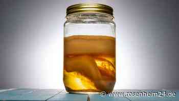 Kombucha könnte die Lösung für das Überleben auf dem Mars sein