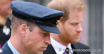 Prince William's four-word reply when asked about Harry