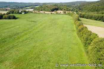 Miteinander reden gehört in Warburg zum guten Ton