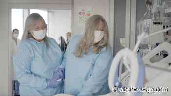 Pig kidney works a record 2 months in donated body