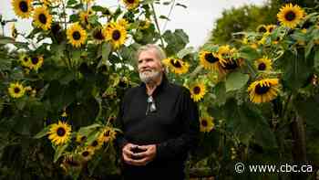 Superbugs threaten to make infections in hospitals impossible to treat. Here's why