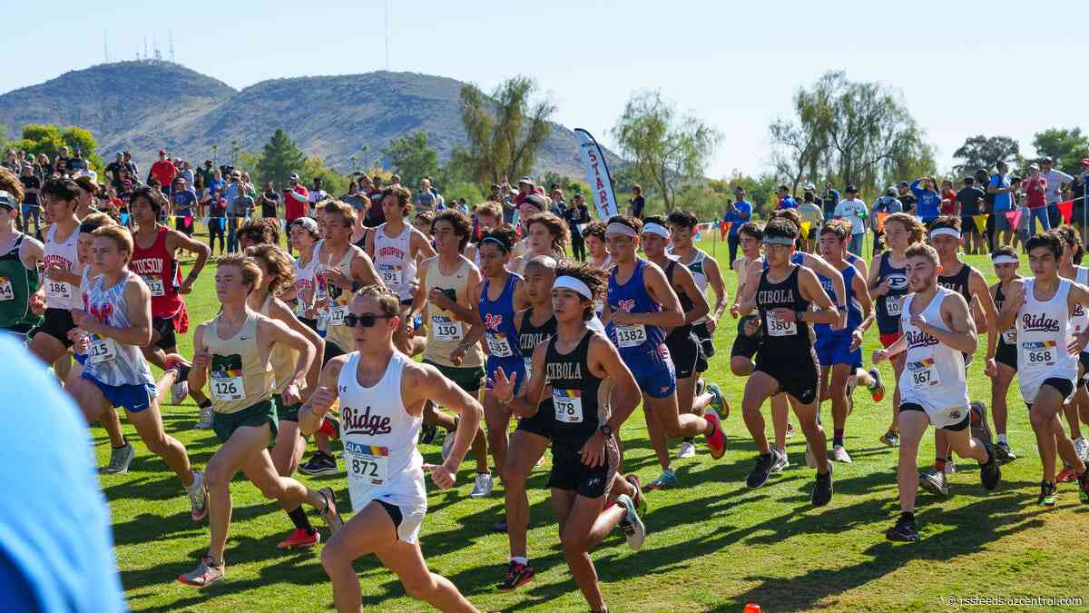 Breaking down 2023 Arizona high school cross-country season: Division III