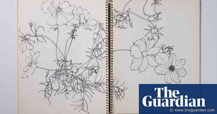 ‘Drawing was her center of gravity’: another side of sculptor Ruth Asawa