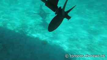 An Ontario couple sold everything to sail the world – here’s how it’s going