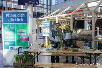 Würmer wachsen mitten im Hauptbahnhof