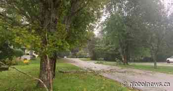 Lee bringing high winds, heavy rain as powerful storm hits Atlantic Canada