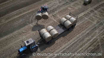 Mitgliedsstaaten ignorieren EU-Beschluss zum ukrainischen Getreide