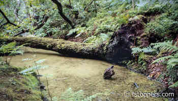 How Do You Get Out of Landscape Photography Ruts?