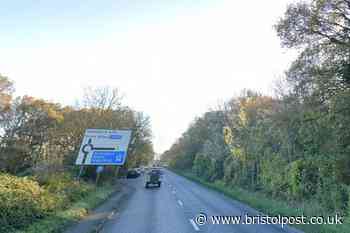 Two dead after horror crash between horse-and-carriage and car