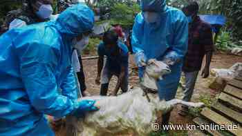 Zwei Tote in Indien: Was ist das Nipah-Virus? Fragen und Antworten