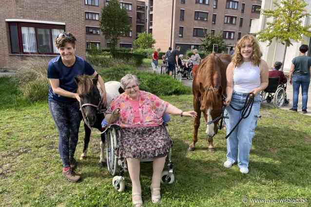 Dieren verwennen bewoners van woonzorgcentra: “Je ziet hun ogen twinkelen van plezier”