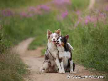 The Empathy Equation in Customer Feedback Management