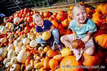Das bietet NRWs größter Bauernmarkt in Delbrück