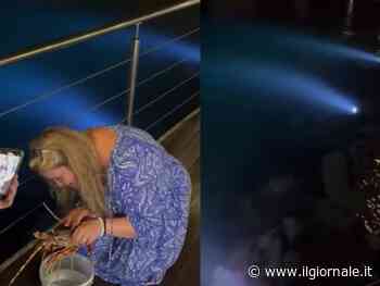Turista compra aragosta da 200 euro al ristorante e la libera in mare