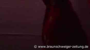 Spiel Highlights zu HSV Hamburg - SC DHfK Leipzig (2)