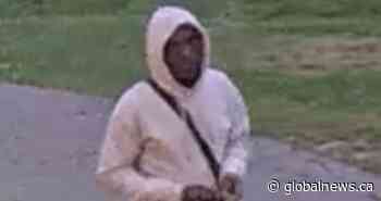 Suspect arrested after alleged sexual assault of 14-year-old girl in Brampton