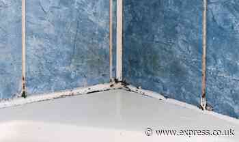 ‘I’m a bathroom expert here’s how to make your own mould-killing cleaner in two minutes’