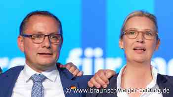 Sonntagsfrage: AfD erreicht in aktueller Umfrage 22 Prozent