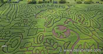 Suburban Skyview: Jurassic Park-themed corn maze