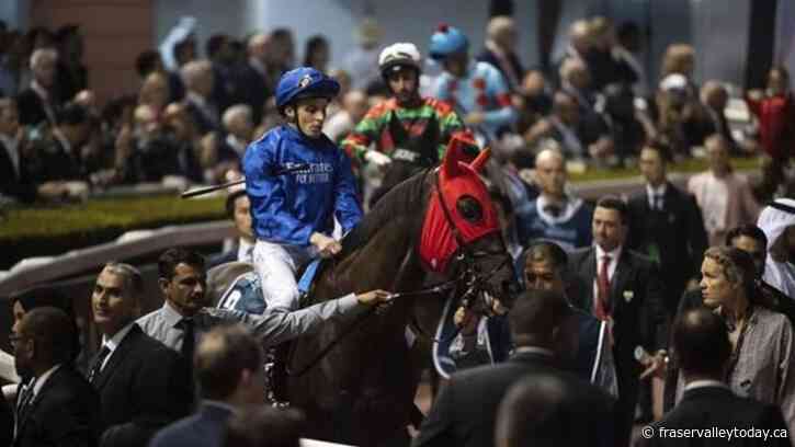 Favourite Master of The Seas captures $1-million Ricoh Woodbine Mile turf race