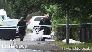 Man dies after attack by 'American bully XL dogs' in Staffordshire