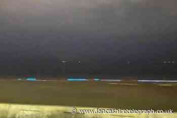 Man captures bioluminescence phenomenon in Bispham