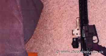 Chopwell gunman accidentally shot man in knee and killed his dog while taking potshots at rabbits