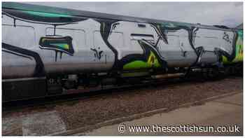 SPRAY BACK TIME Vandals leave ScotRail bosses with a £60,000 clean-up bill in wave of graffiti attacks