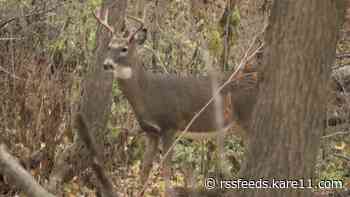 DNR launches new online tool where hunters can log their hunts and help track the state's deer population