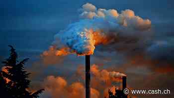 Studie plädiert für automatische CO2-Preissteigerung bei verfehlten Klimazielen